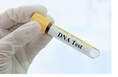 Genetic Testing